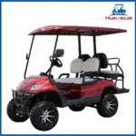 xe điện sân golf 4 chỗ LT-A617.2+2G