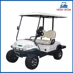 xe điện sân golf 2 chỗ LT-A627.2G